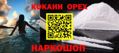 прущие грибы Будённовск