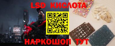 прущие грибы Будённовск