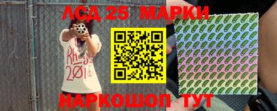 прущие грибы Будённовск
