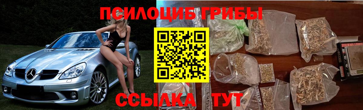 Корсаков  Галлюциногенные грибы Magic Shrooms  Галлюциногенные грибы GOLDEN TEACHER  Вход с VPN 